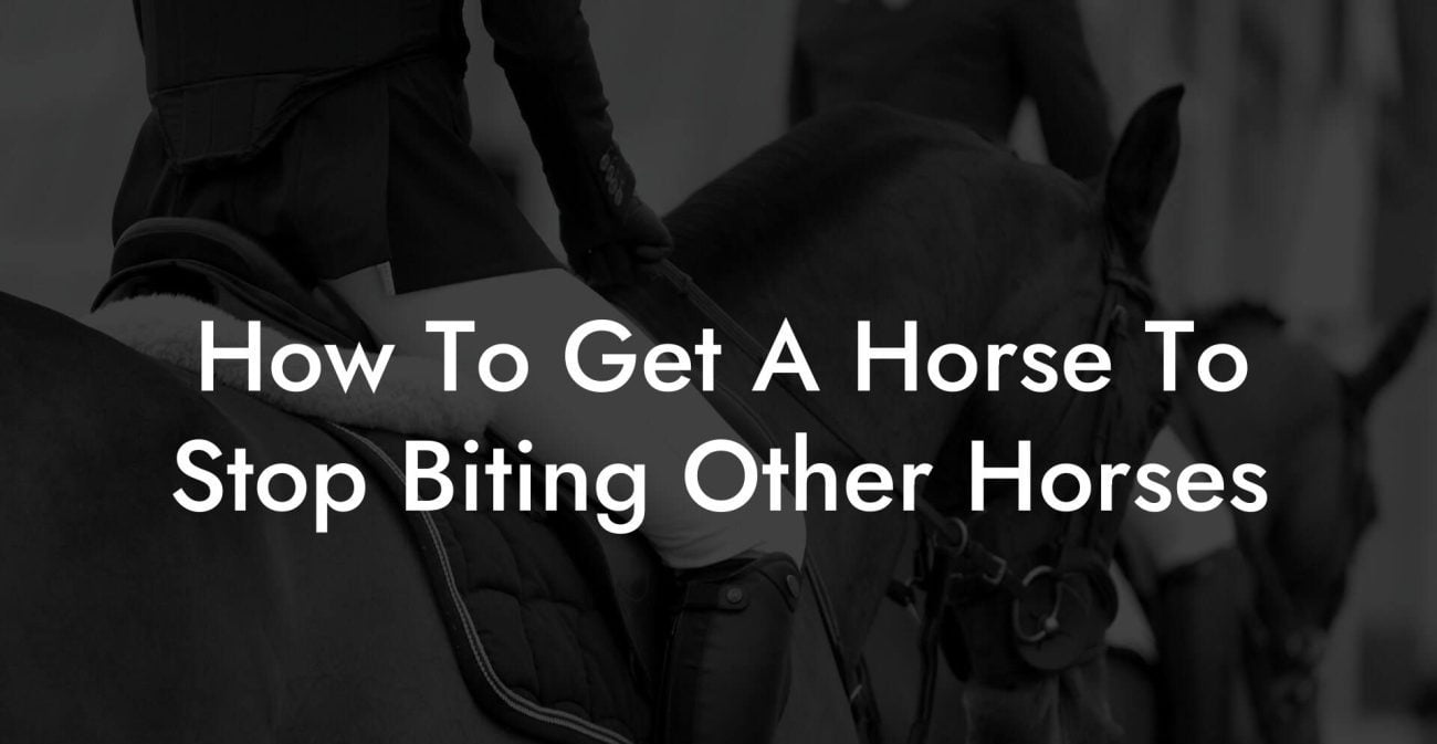 How To Get A Horse To Stop Biting Other Horses