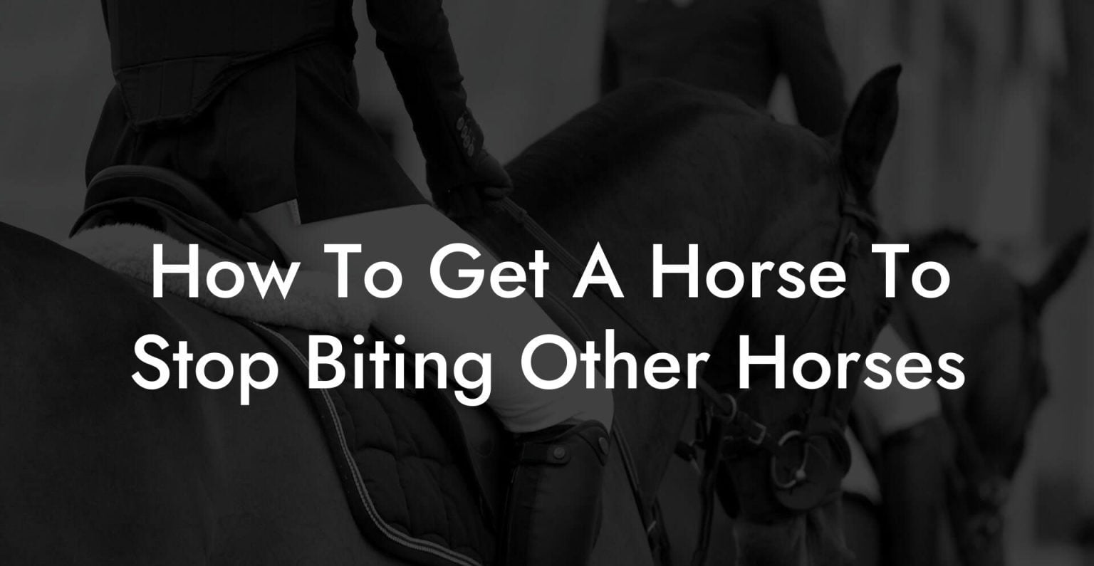 How To Get A Horse To Stop Biting Other Horses How To Own a Horse
