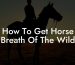 How To Get Horse Breath Of The Wild