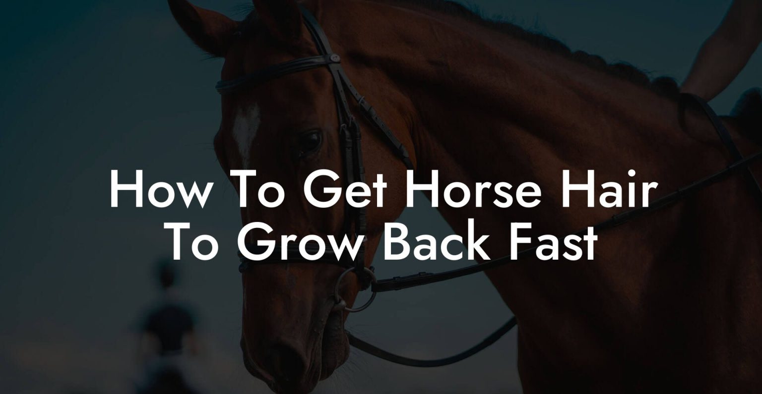 How To Get Horse Hair To Grow Back Fast How To Own a Horse