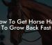 How To Get Horse Hair To Grow Back Fast