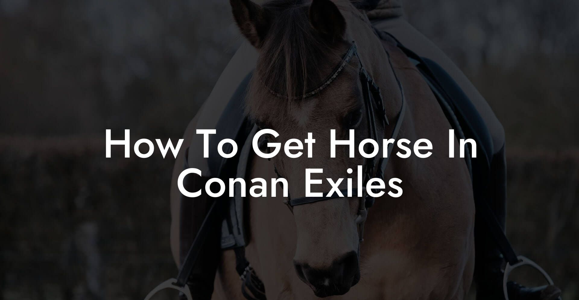 How To Get Horse In Conan Exiles