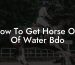 How To Get Horse Out Of Water Bdo