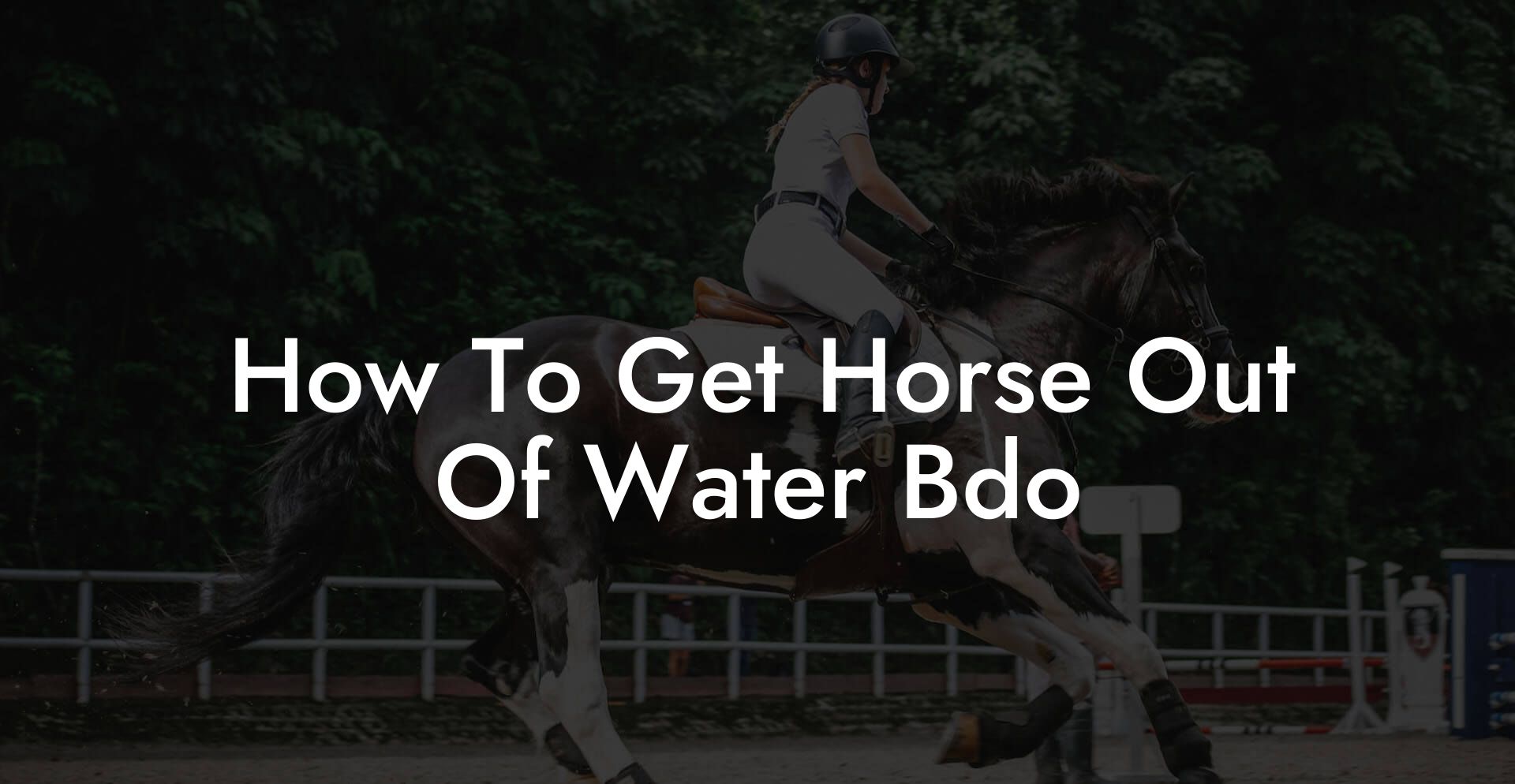 How To Get Horse Out Of Water Bdo