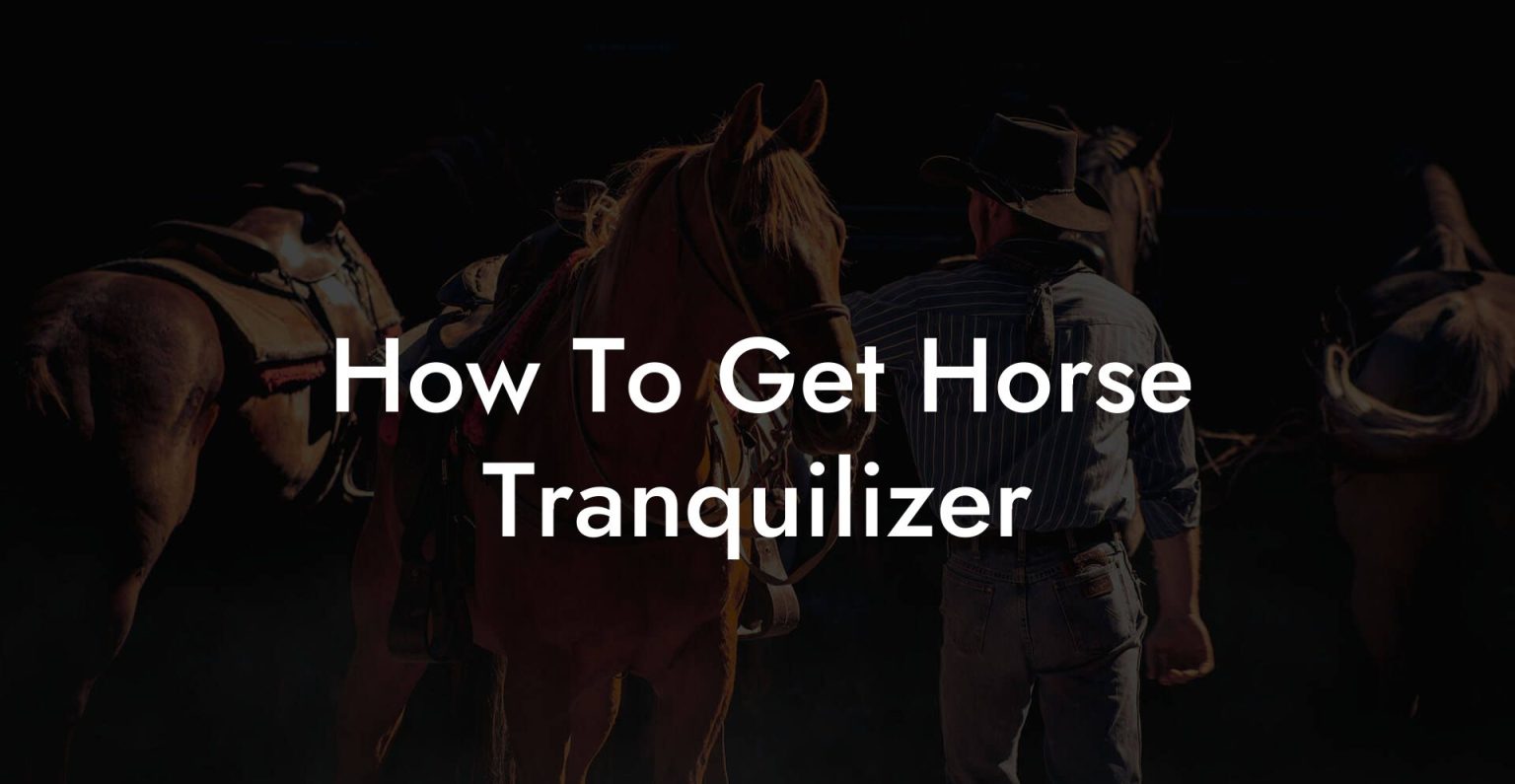 How To Get Horse Tranquilizer How To Own a Horse