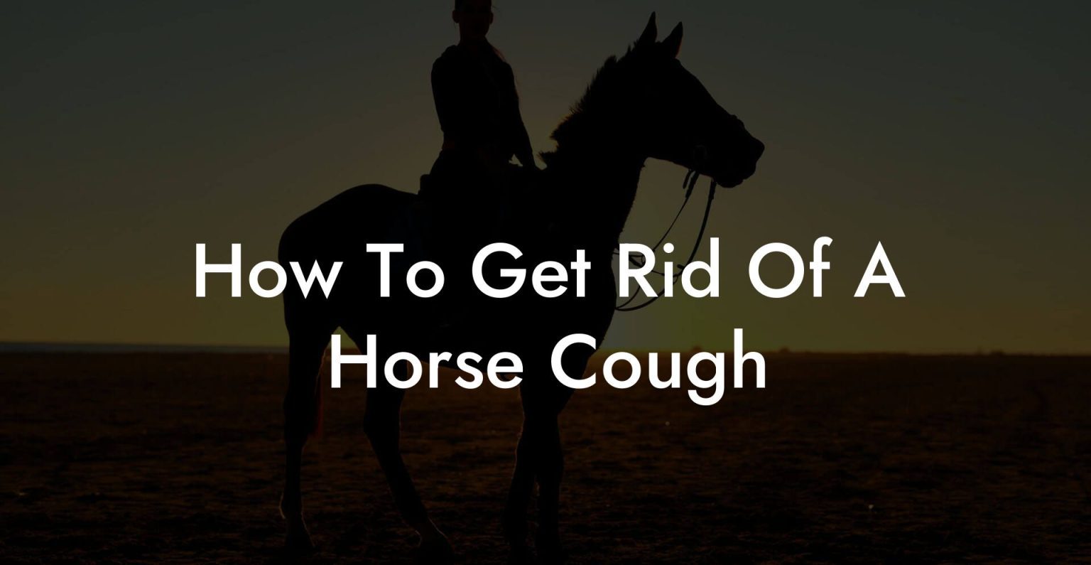 How To Get Rid Of A Horse Cough How To Own a Horse