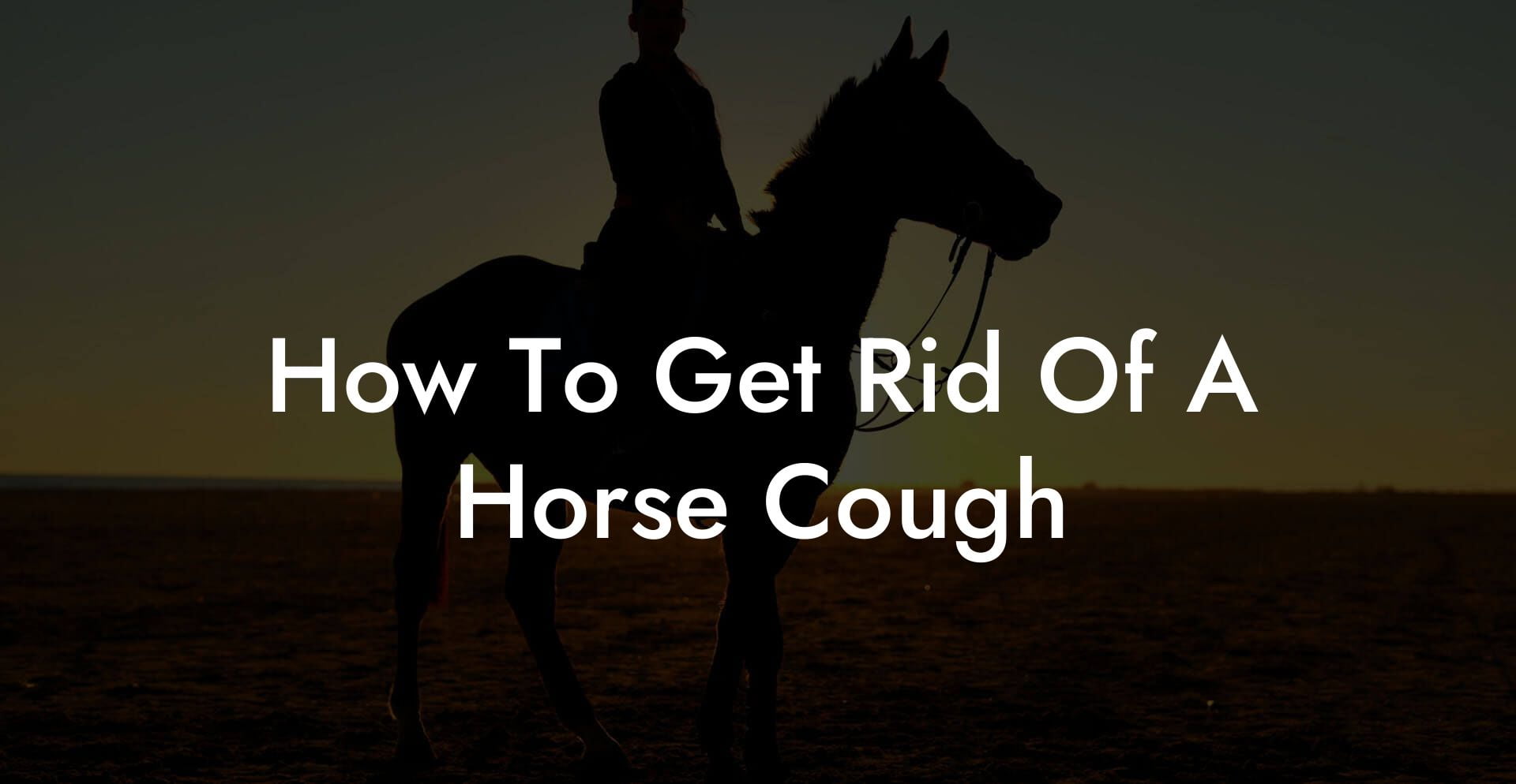 How To Get Rid Of A Horse Cough