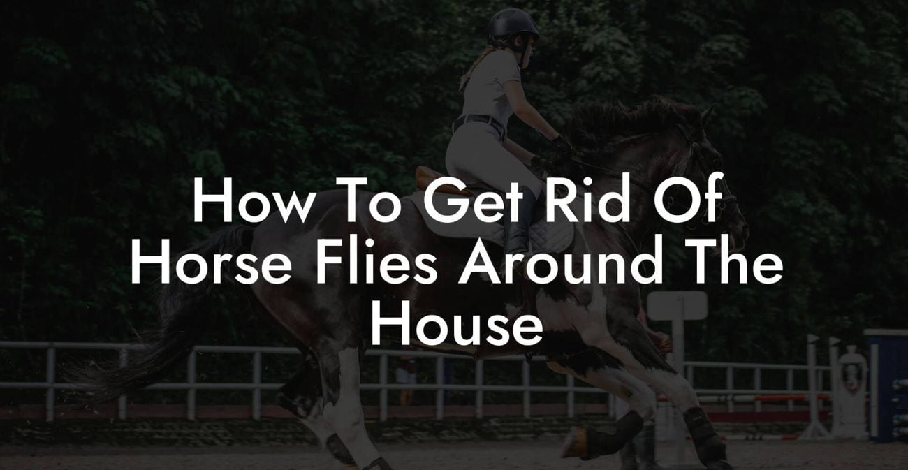 How To Get Rid Of Horse Flies Around The House