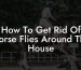 How To Get Rid Of Horse Flies Around The House