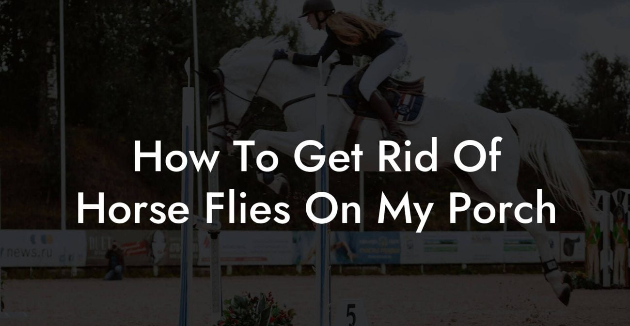 How To Get Rid Of Horse Flies On My Porch