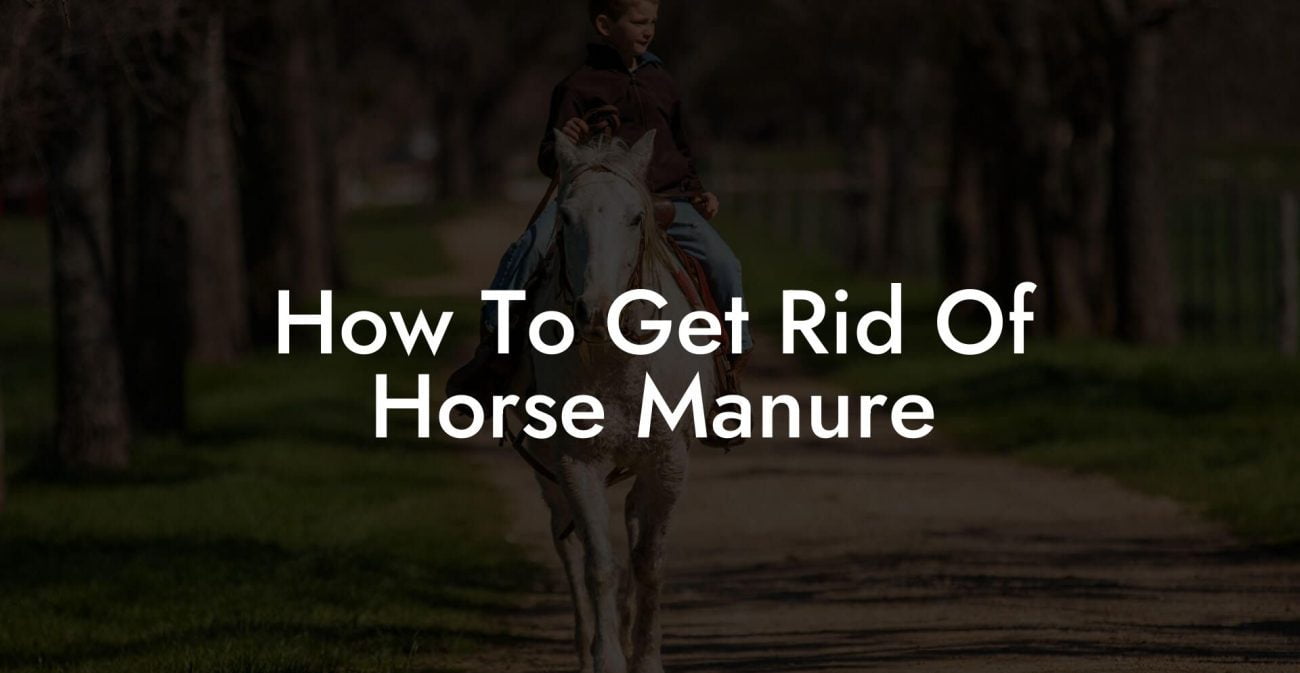 How To Get Rid Of Horse Manure