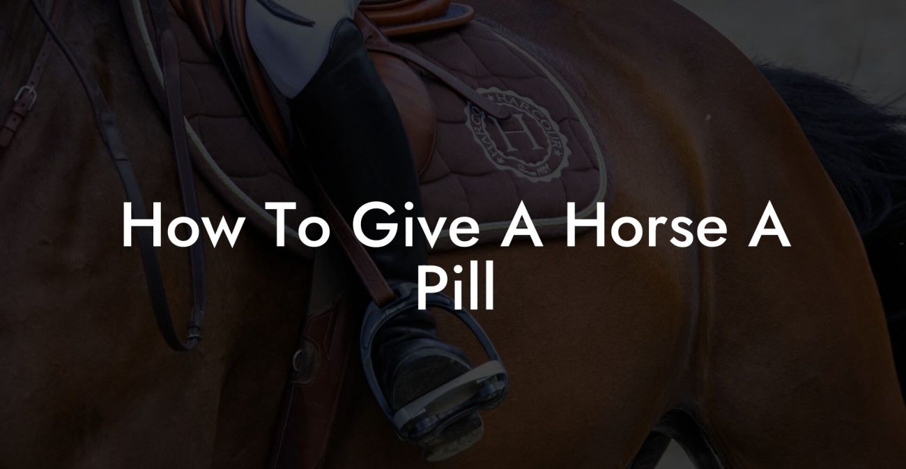 How To Give A Horse A Pill