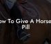 How To Give A Horse A Pill