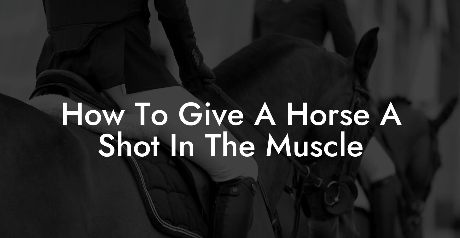 How To Give A Horse A Shot In The Muscle