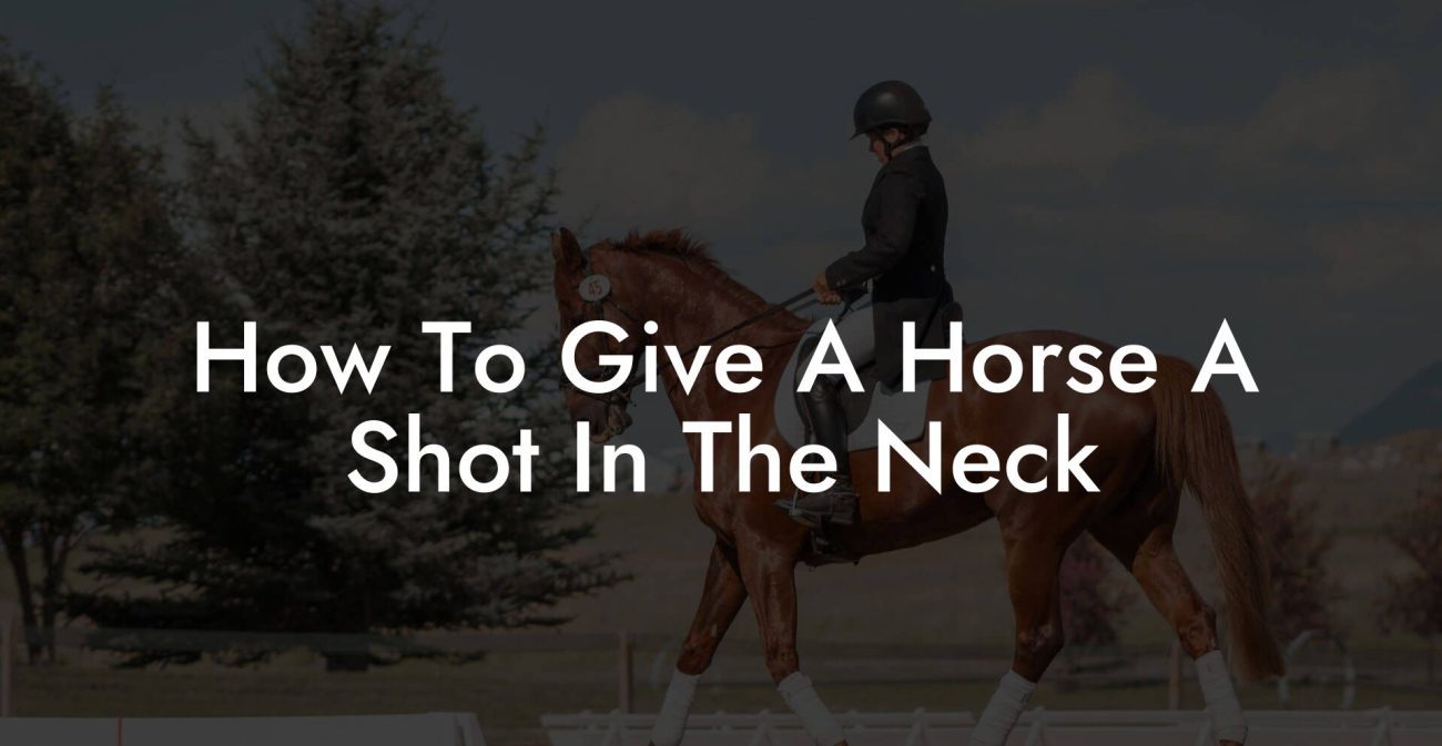 How To Give A Horse A Shot In The Neck