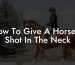 How To Give A Horse A Shot In The Neck