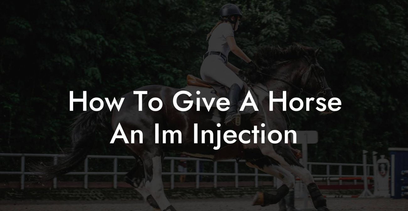 How To Give A Horse An Im Injection