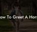How To Greet A Horse