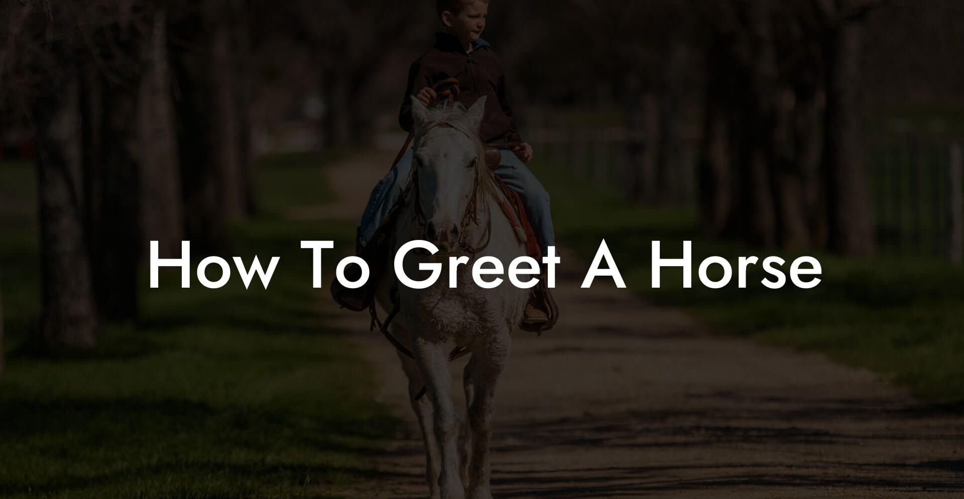 How To Greet A Horse