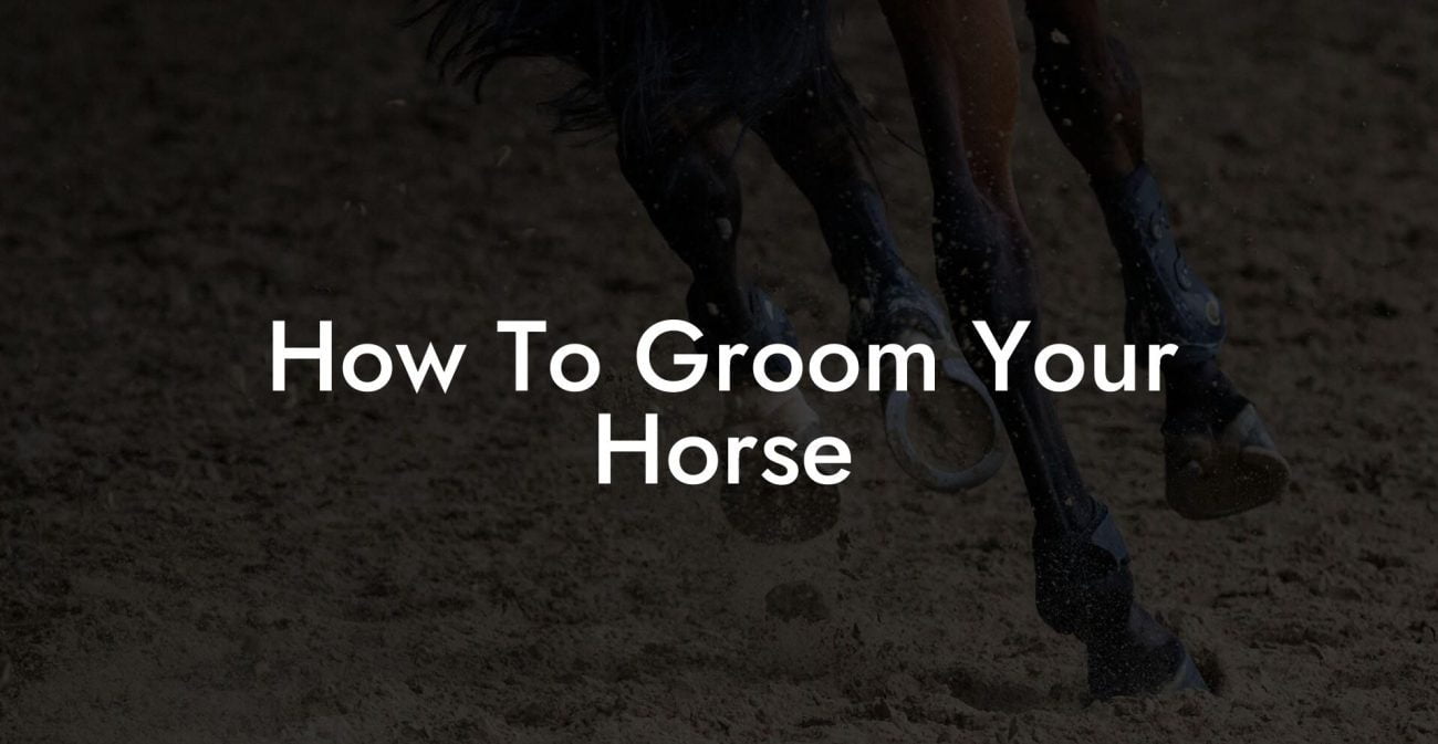 How To Groom Your Horse