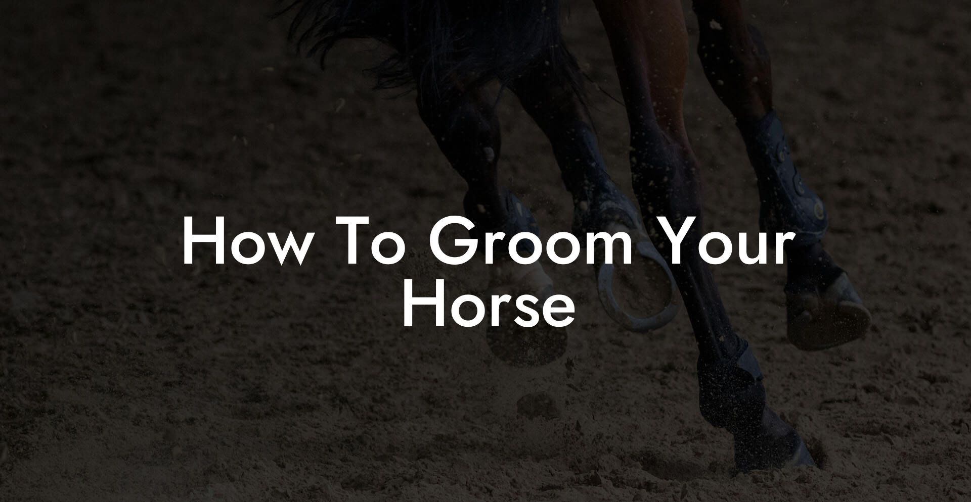 How To Groom Your Horse