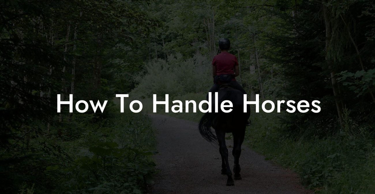 How To Handle Horses