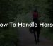 How To Handle Horses