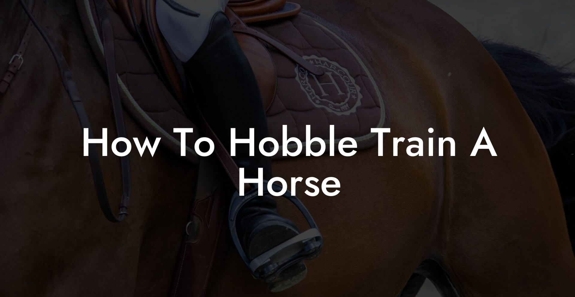 How To Hobble Train A Horse
