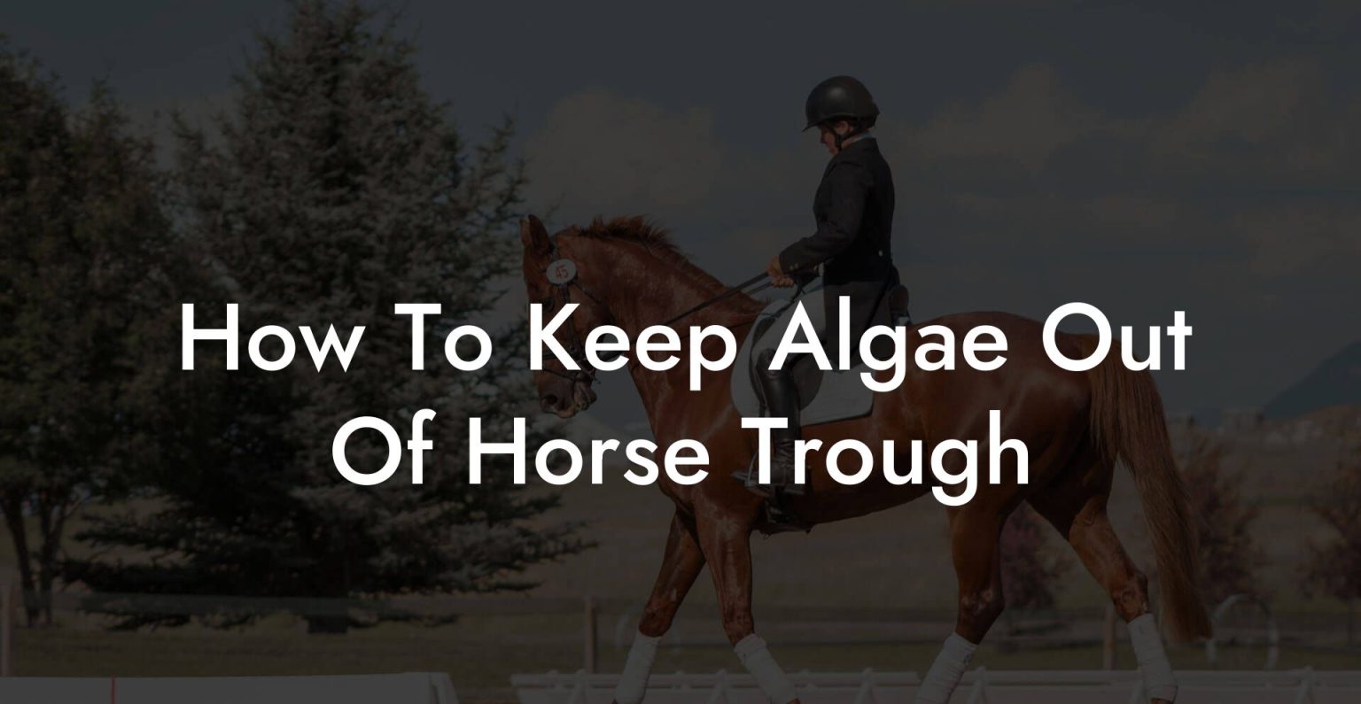 How To Keep Algae Out Of Horse Trough How To Own a Horse