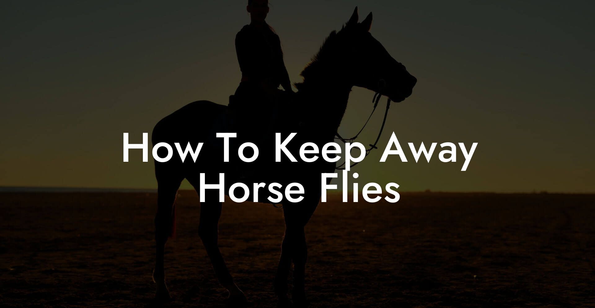 How To Keep Away Horse Flies