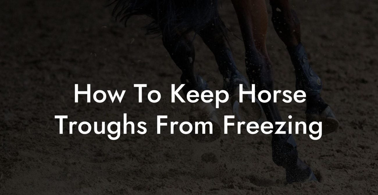 How To Keep Horse Troughs From Freezing