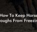 How To Keep Horse Troughs From Freezing