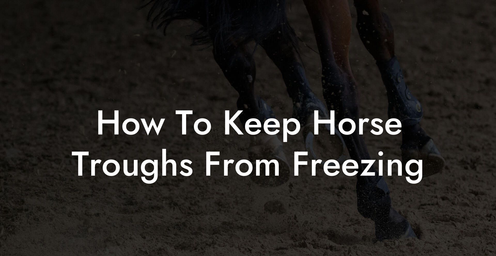 How To Keep Horse Troughs From Freezing