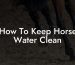 How To Keep Horse Water Clean