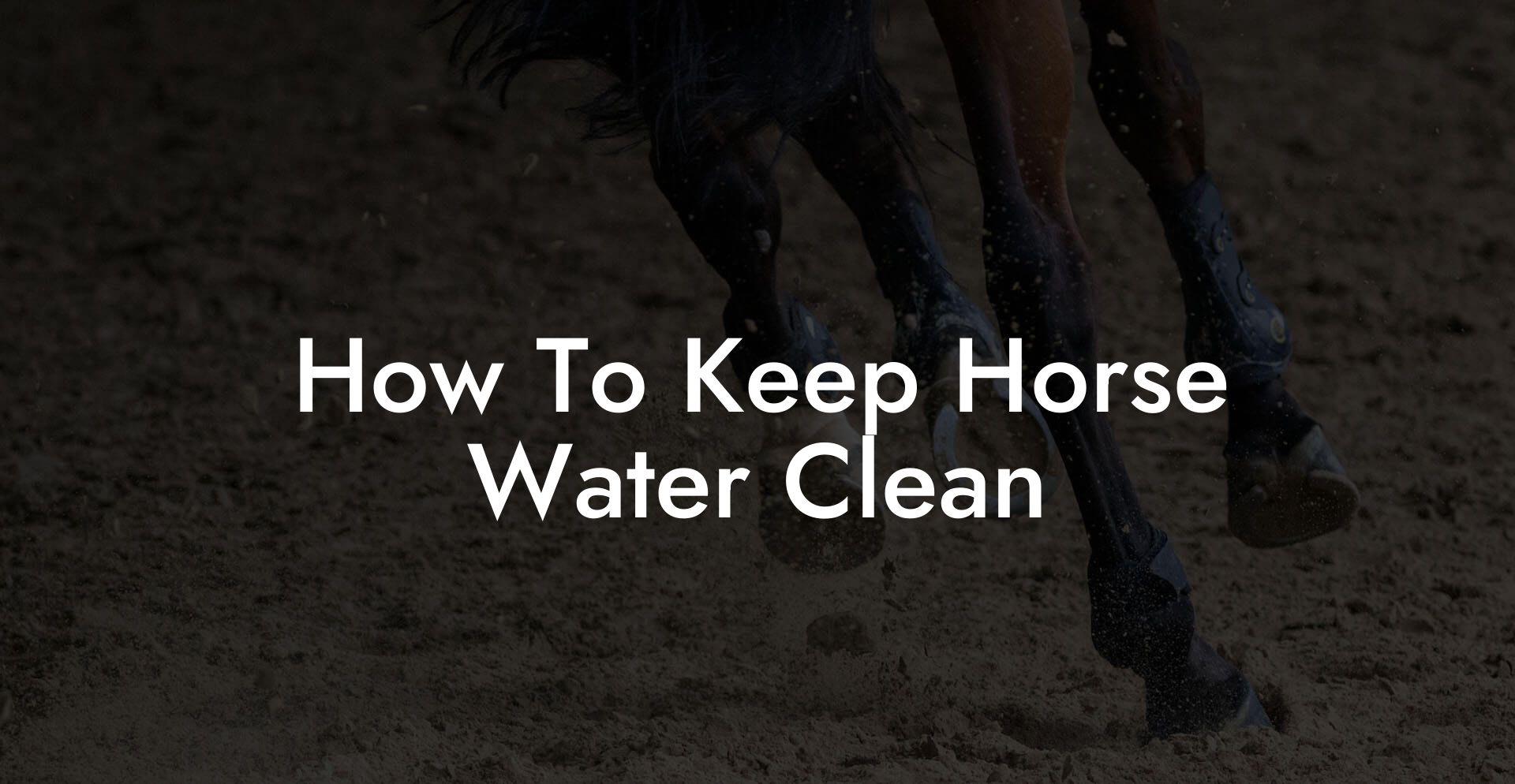 How To Keep Horse Water Clean