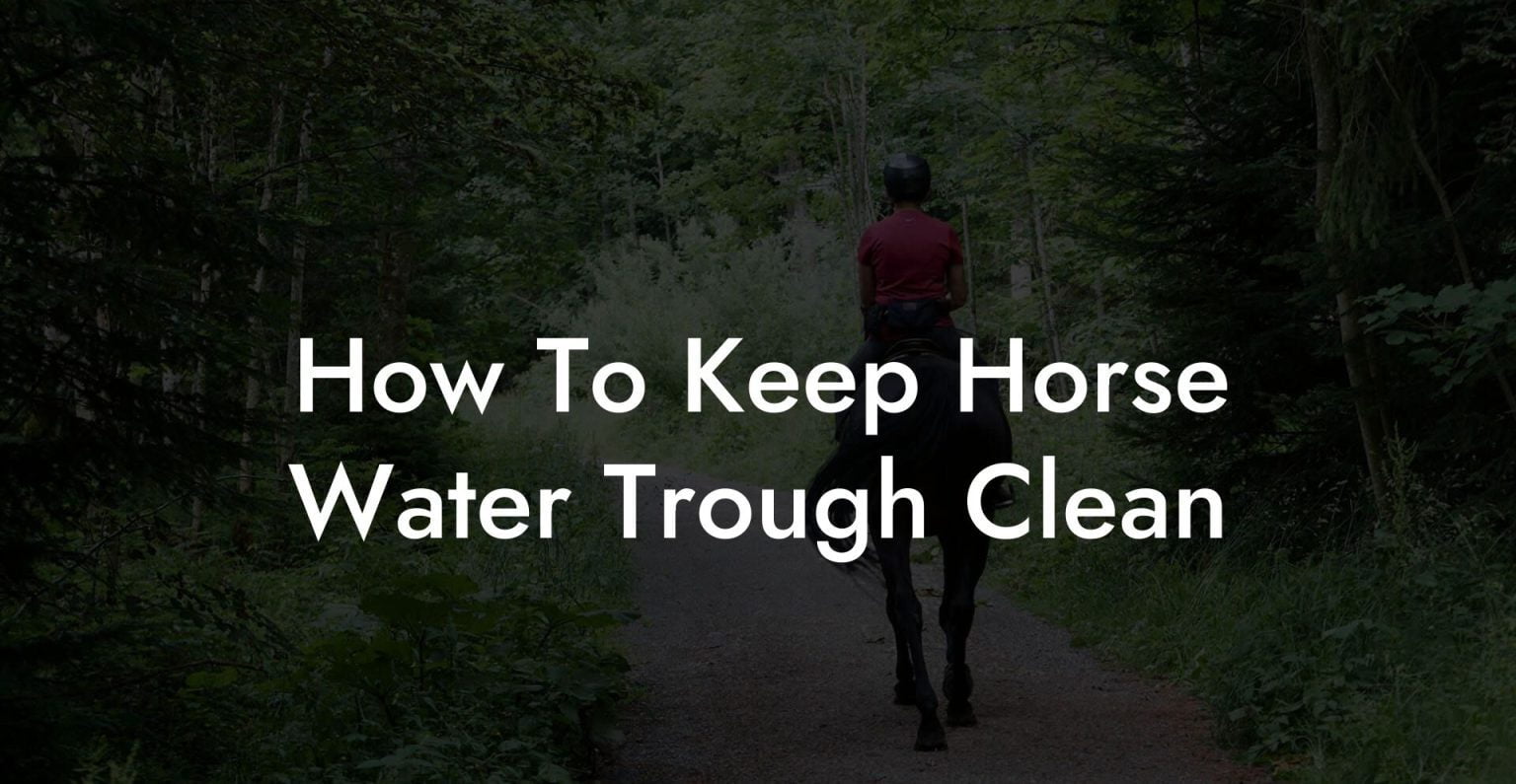 How To Keep Horse Water Trough Clean How To Own a Horse