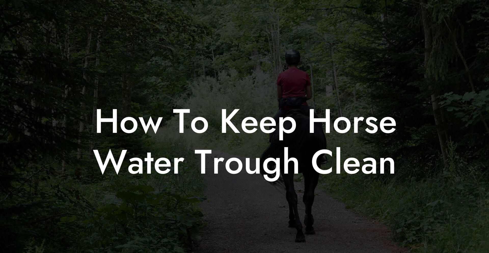How To Keep Horse Water Trough Clean