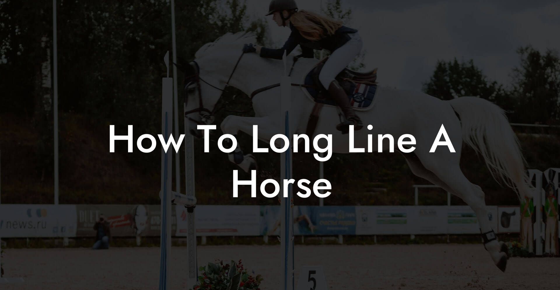 How To Long Line A Horse