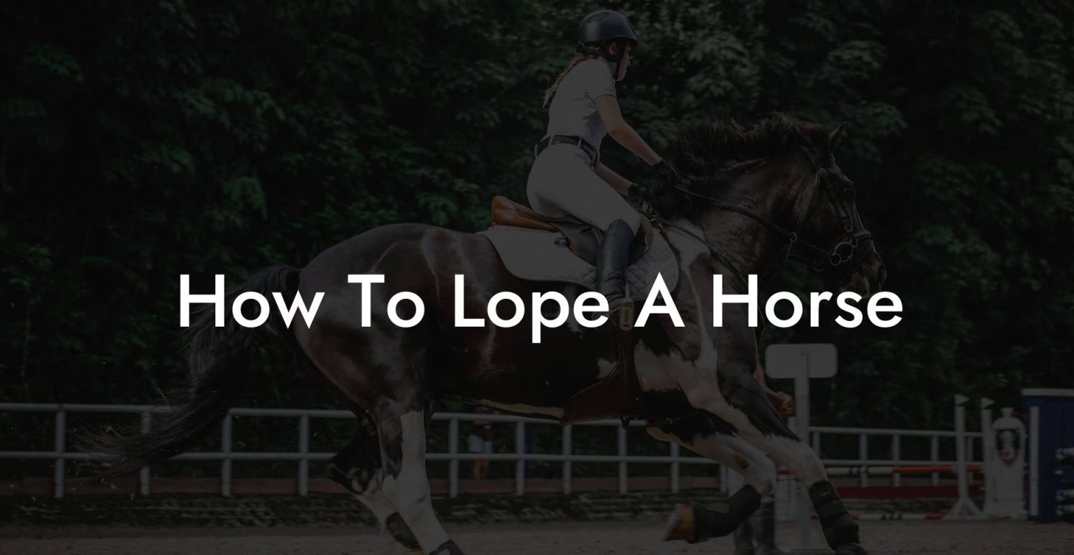 How To Lope A Horse How To Own a Horse