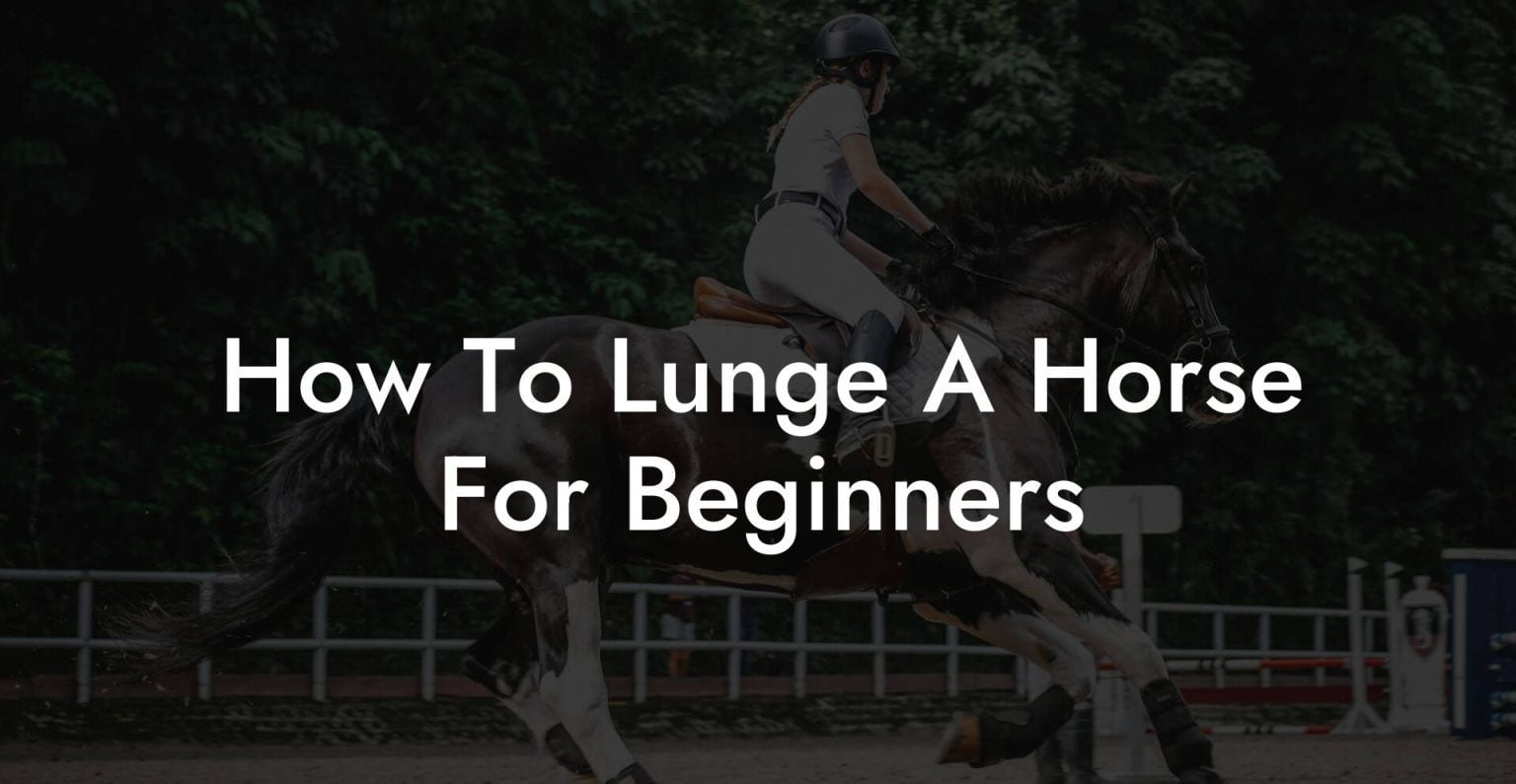How To Lunge A Horse For Beginners How To Own a Horse