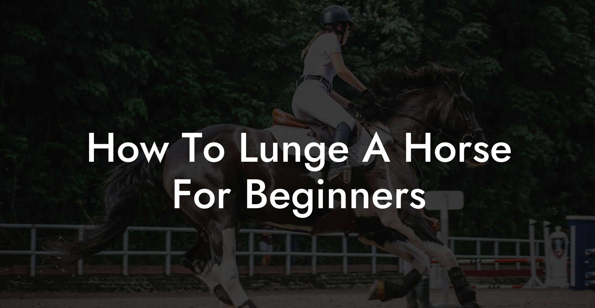 How To Lunge A Horse For Beginners