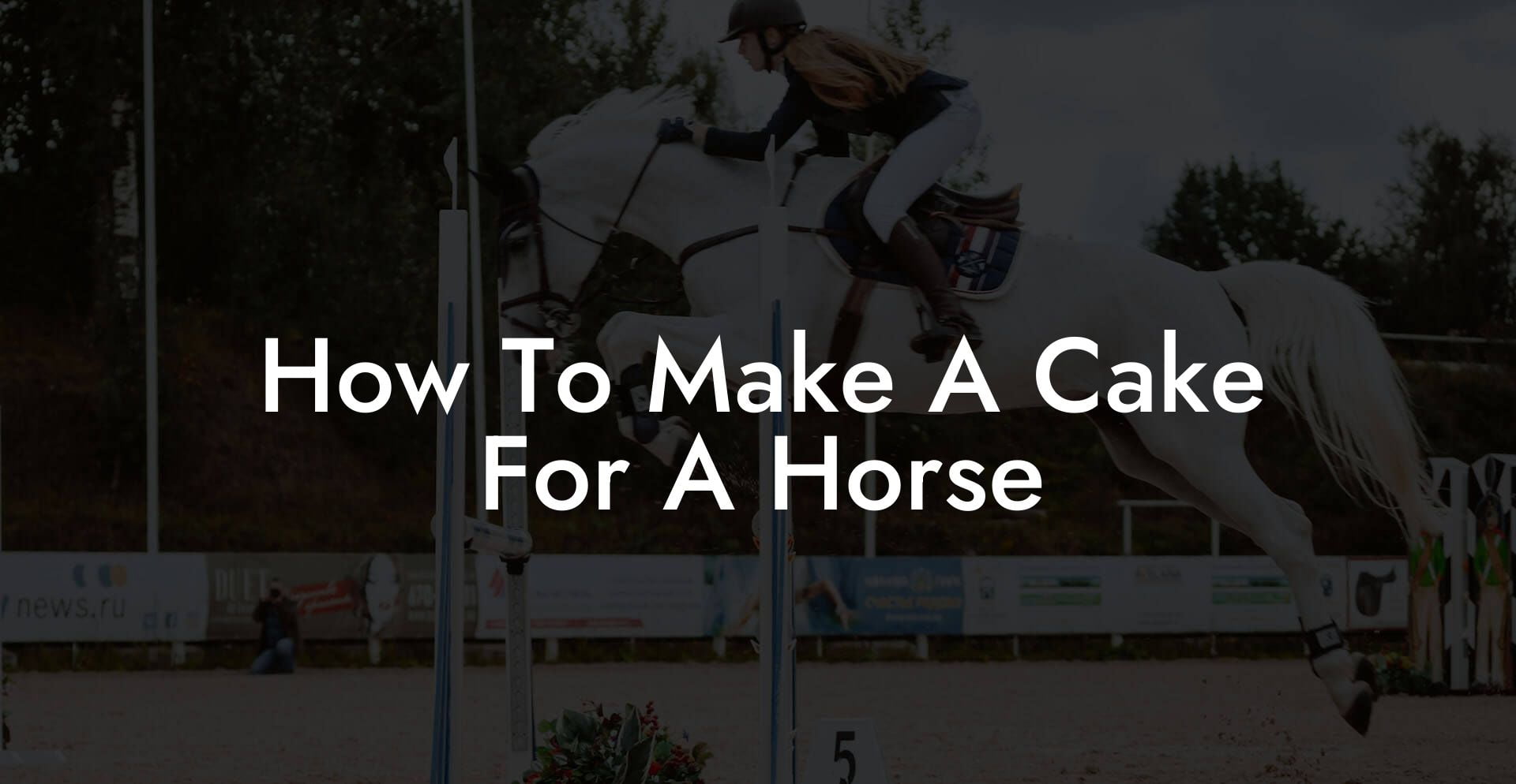 How To Make A Cake For A Horse