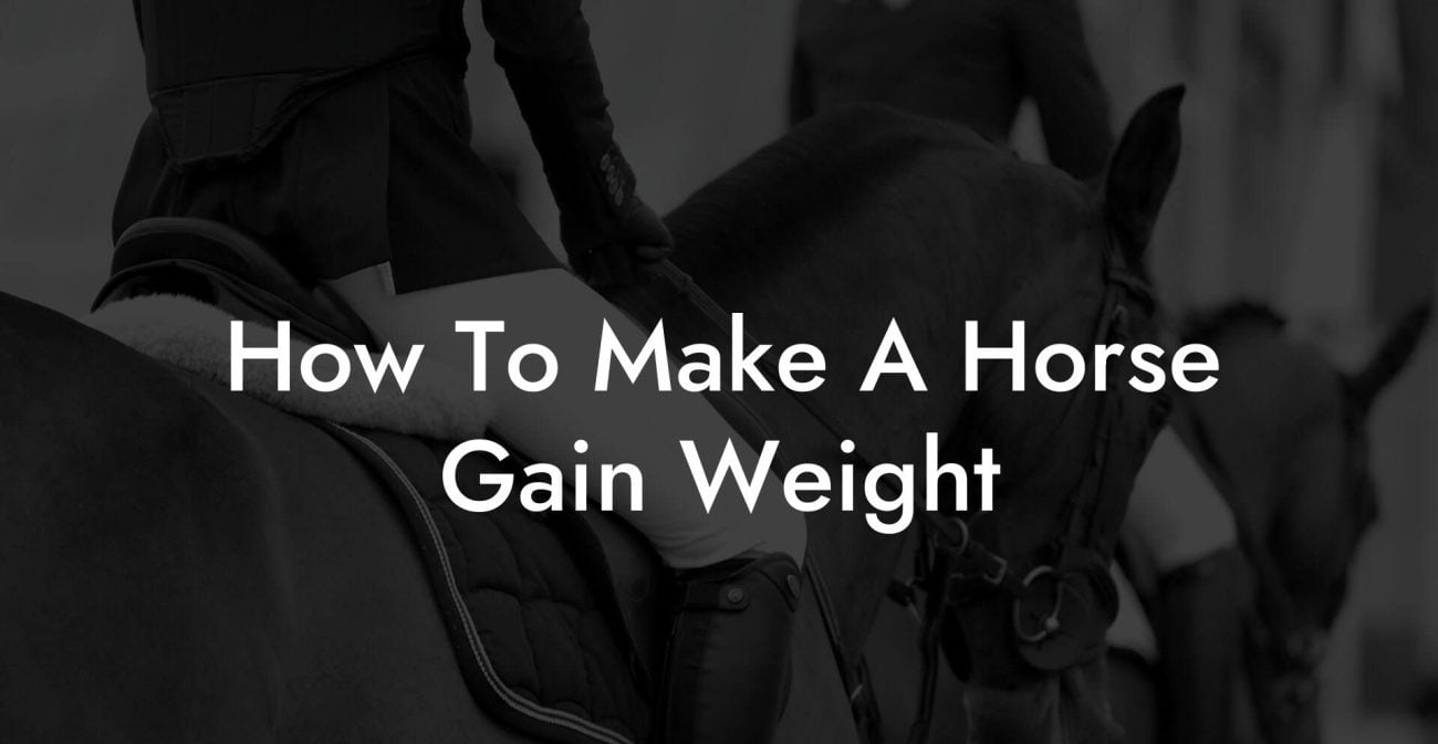 How To Make A Horse Gain Weight