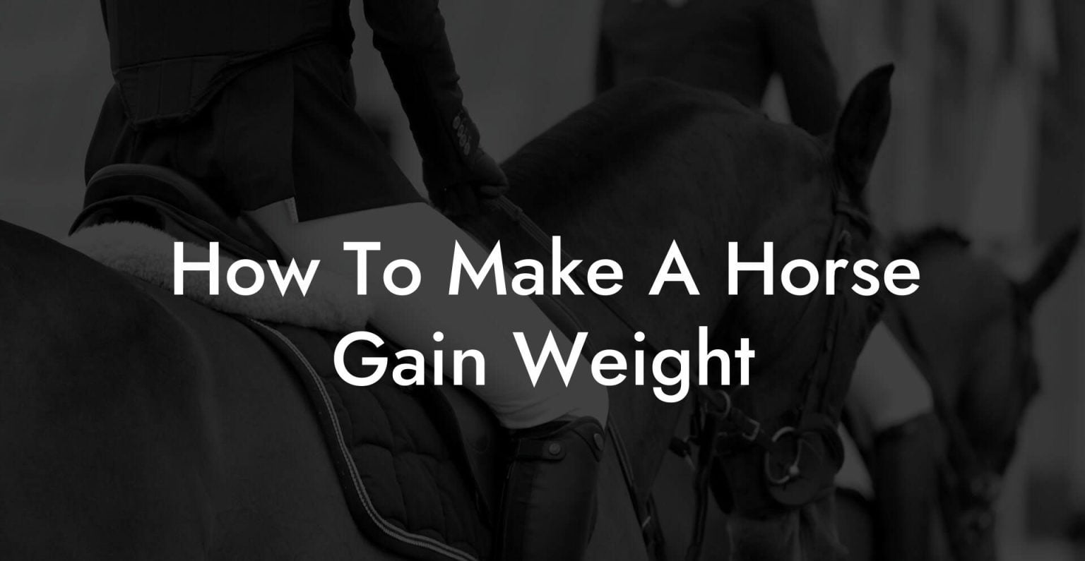 how-to-make-a-horse-gain-weight-how-to-own-a-horse