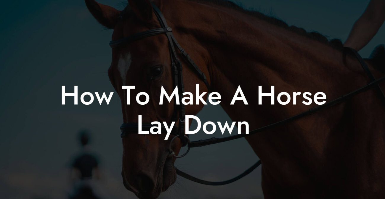 How To Make A Horse Lay Down