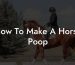 How To Make A Horse Poop