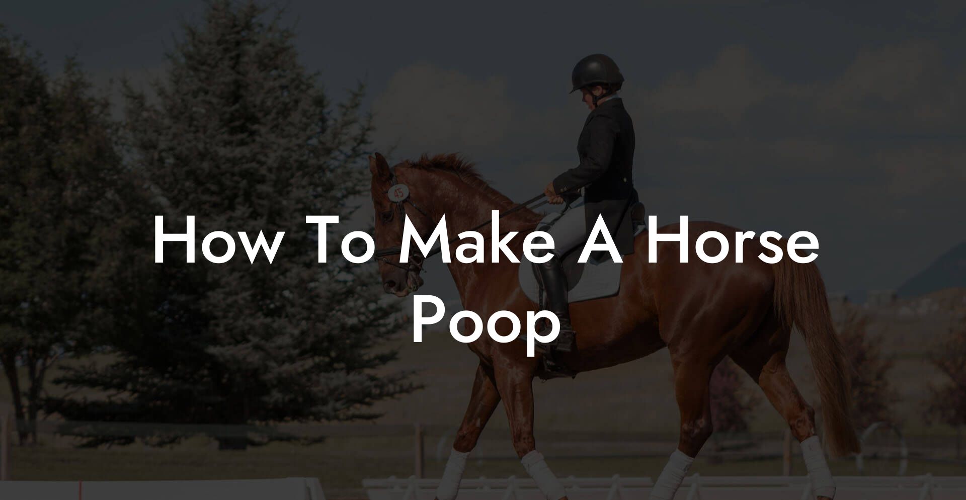 How To Make A Horse Poop