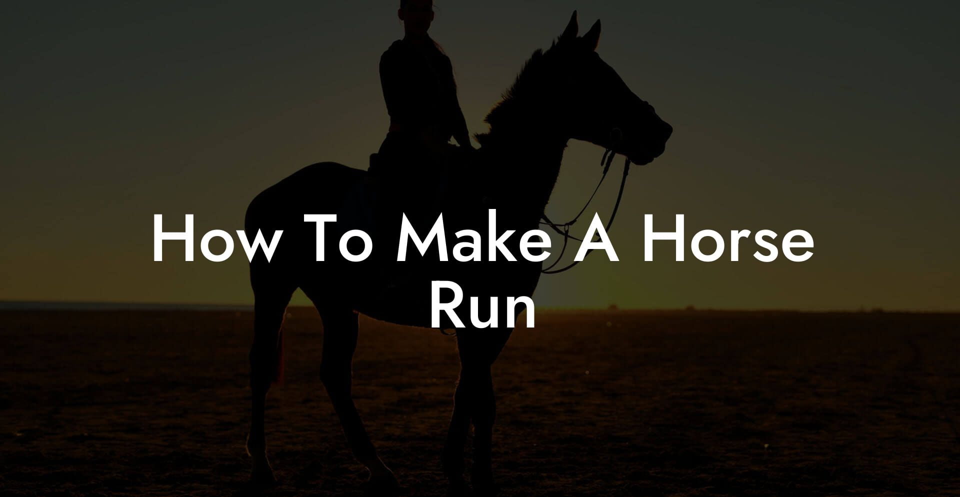 How To Make A Horse Run