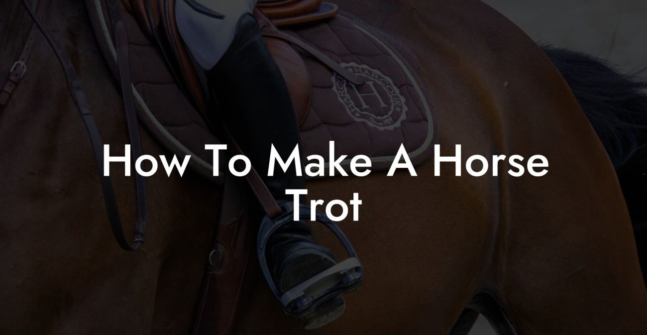 How To Make A Horse Trot