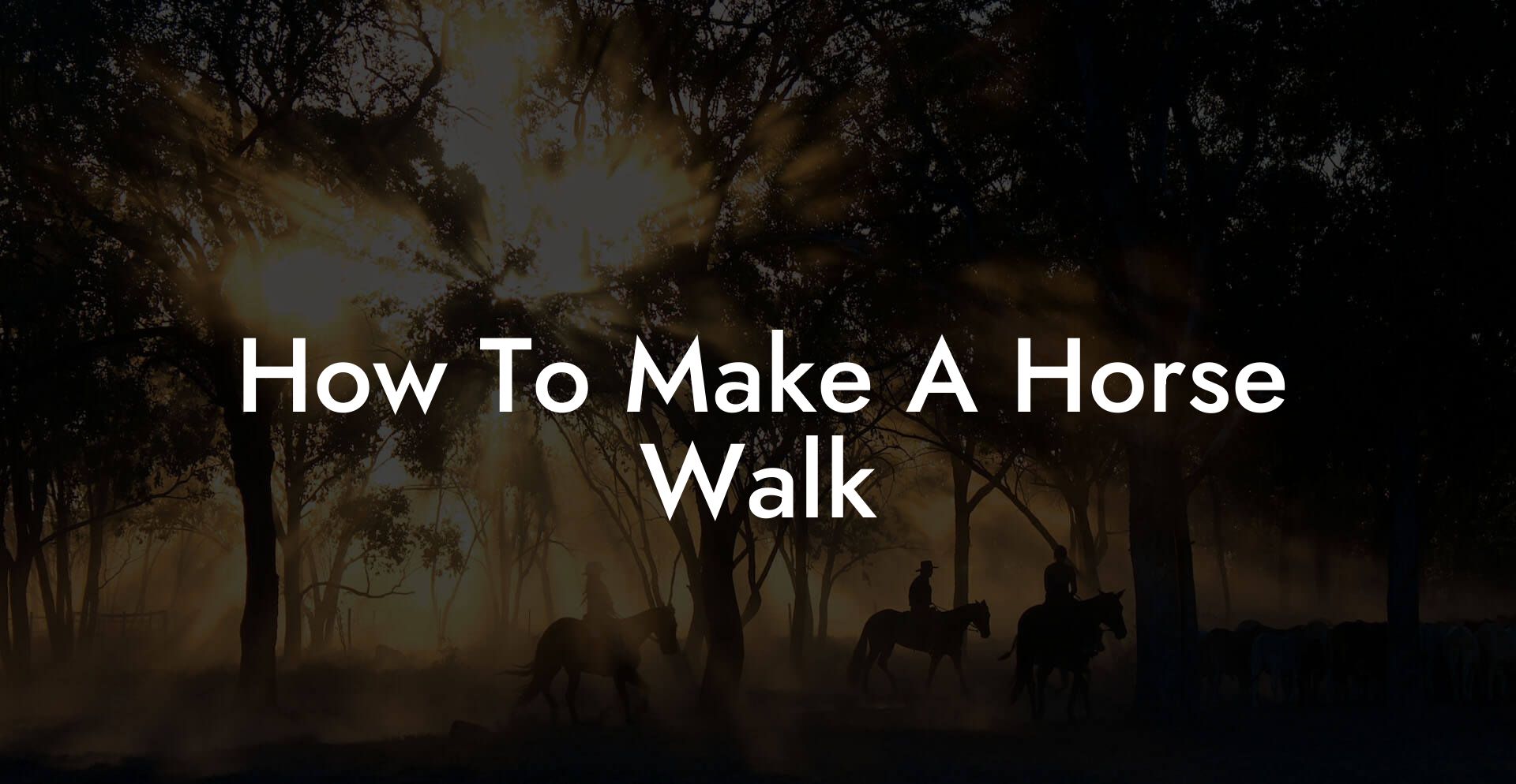 How To Make A Horse Walk